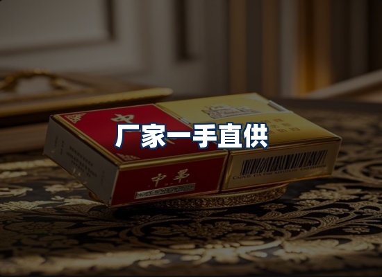 专业团队办公环境